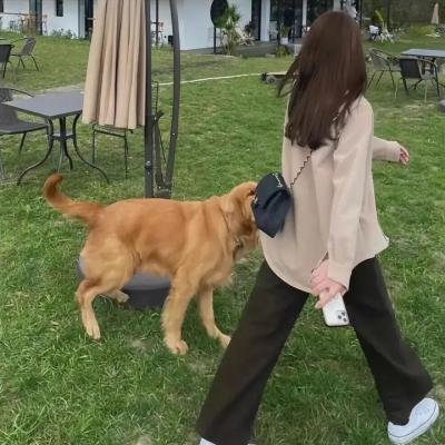 义无反顾